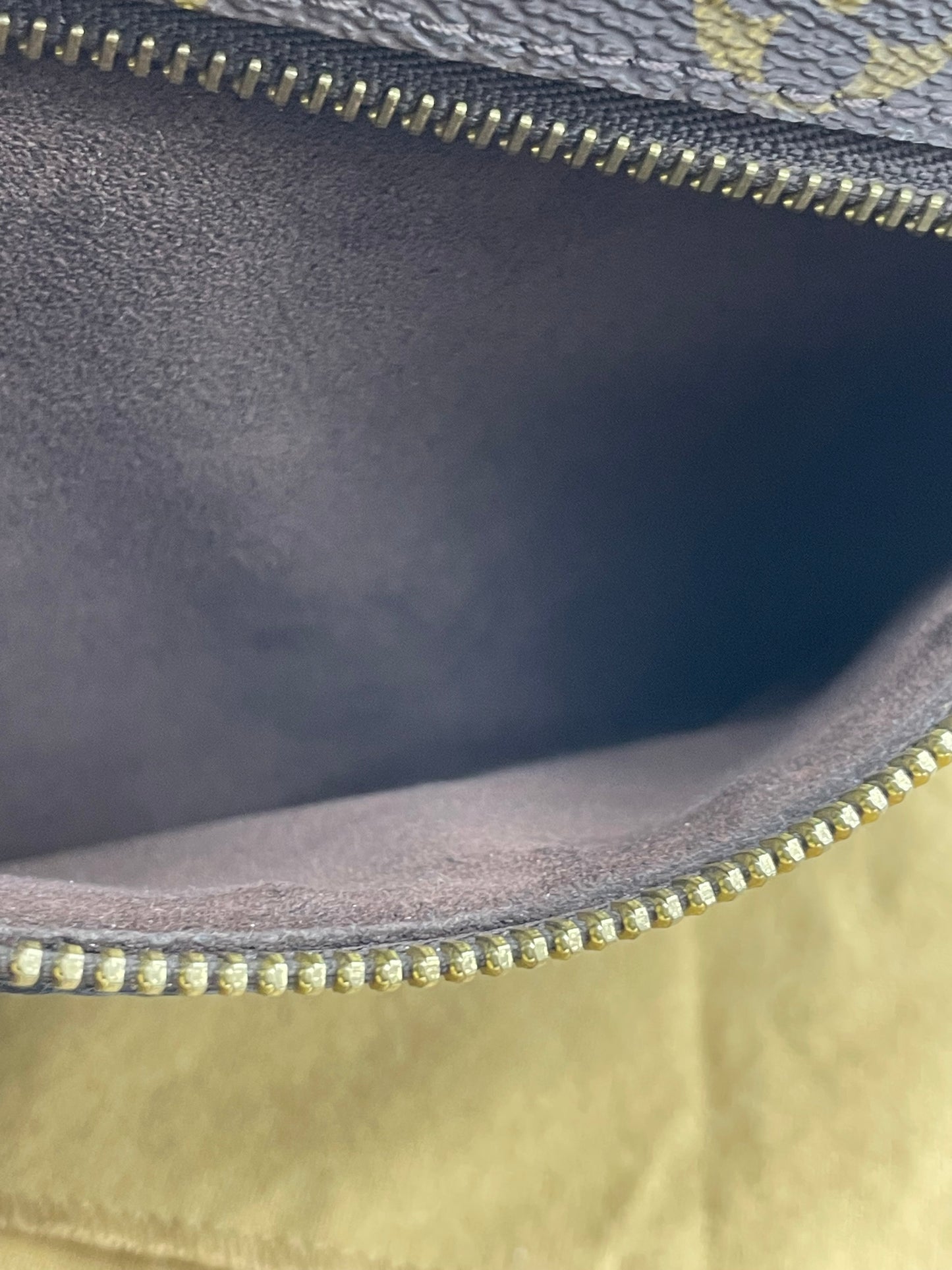 Louis Vuitton Metis Bag