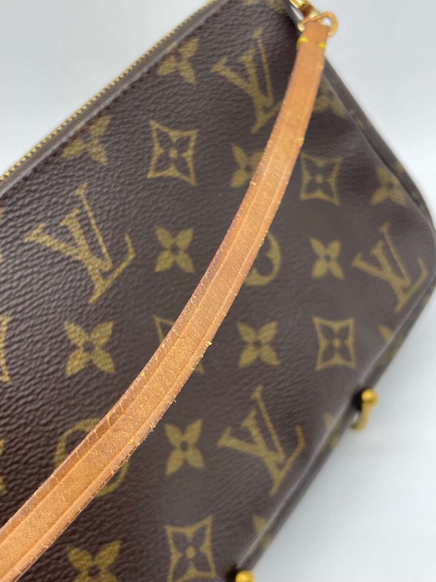 Louis Vuitton Pochette Bag