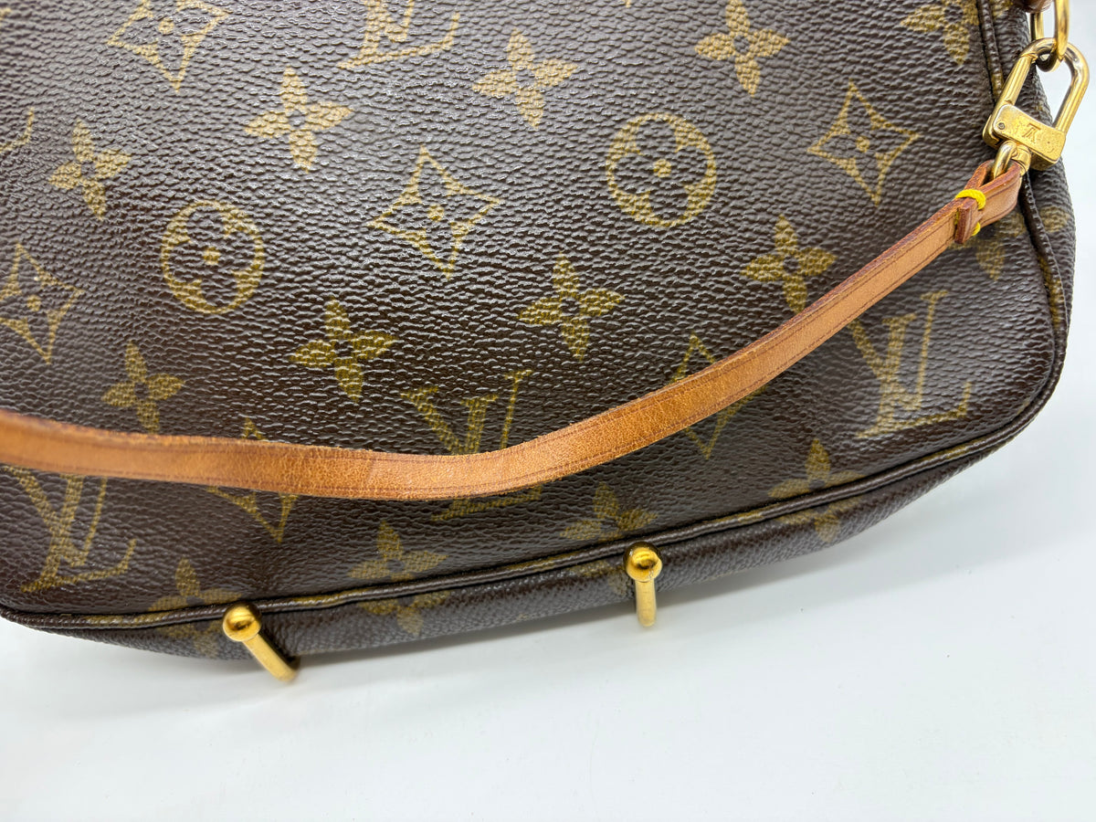 Louis Vuitton Pochette Bag