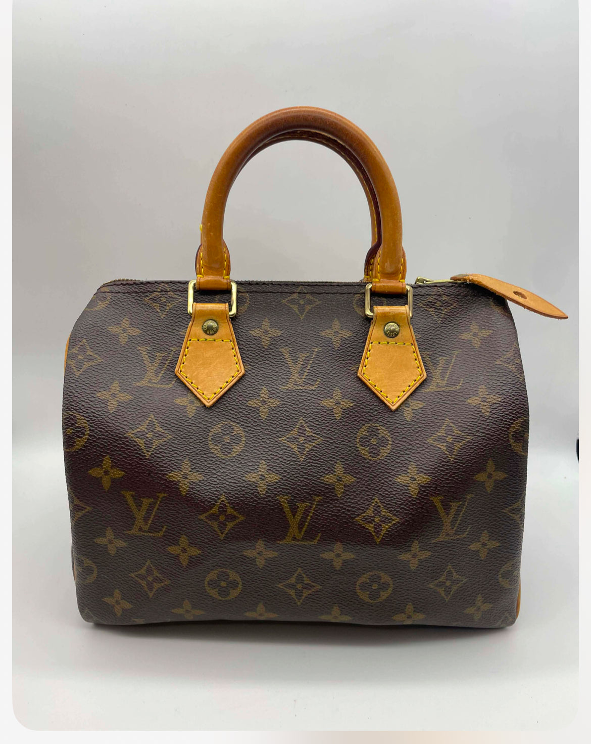 Louis Vuitton Speedy Bag