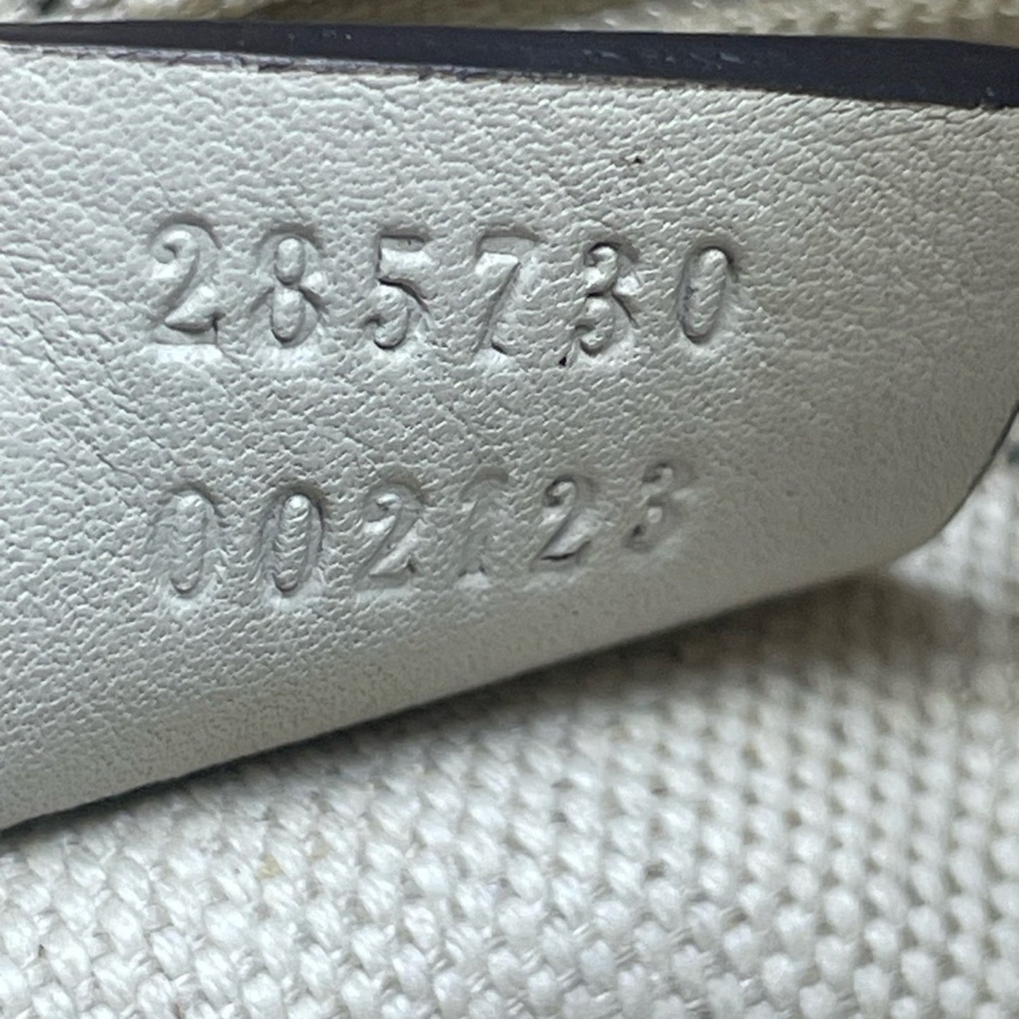 Guccisima Two Way Bag