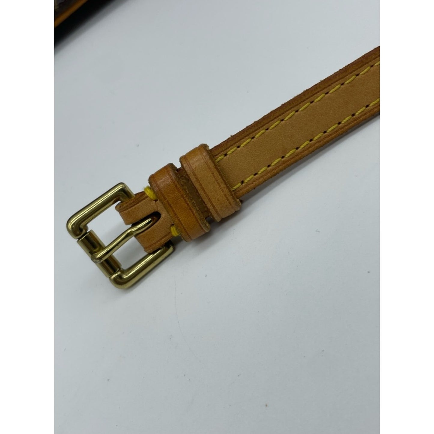 Louis Vuitton Monogram Belt Bag