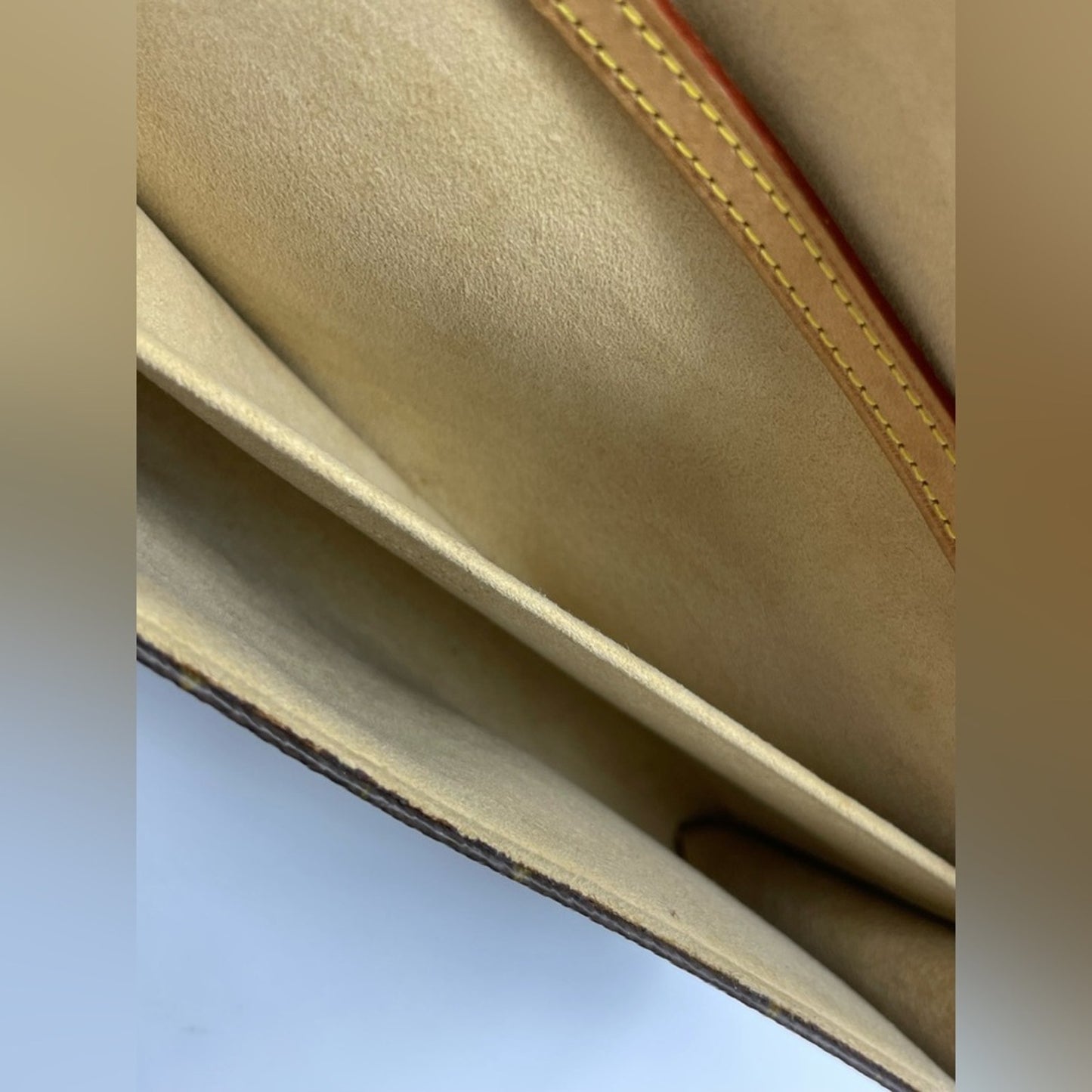 Louis Vuitton Monogram Twin Pochette Sling Bag