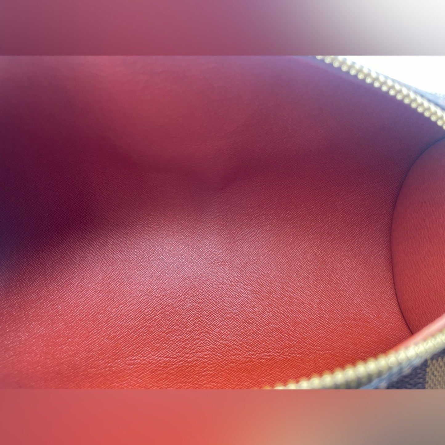 Louis Vuitton Damier Papillon Handbag