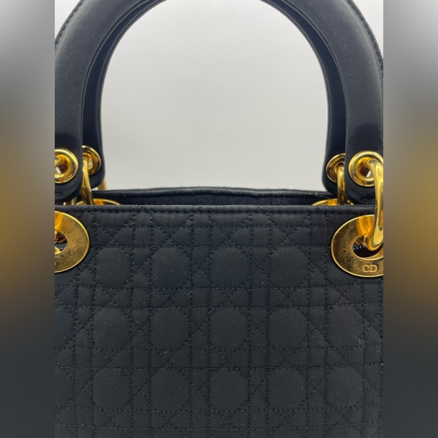 Lady Dior Canage Handbag Bag