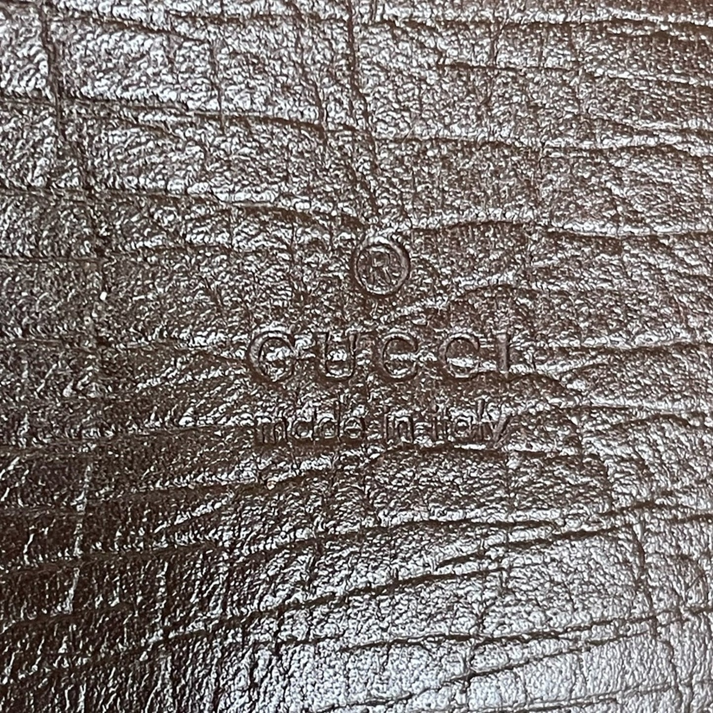 Gucci PVC Sling/Crossbody Bag