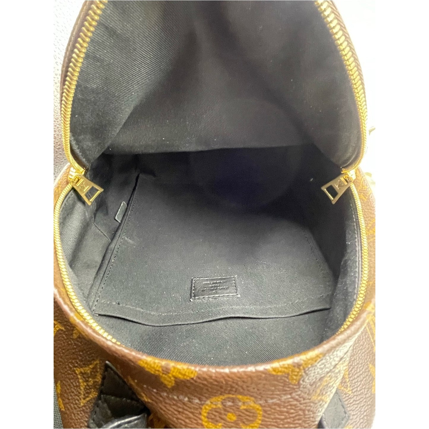 Louis Vuitton Palm Springs Backpack Bag