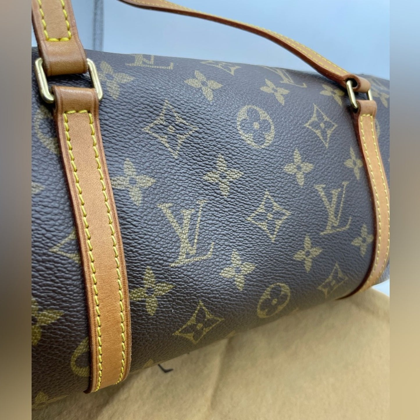 Louis Vuitton Monogram Papillon Handbag