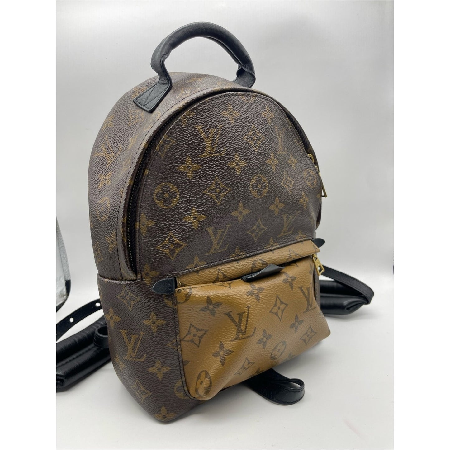 Louis Vuitton Palm Springs Backpack Bag