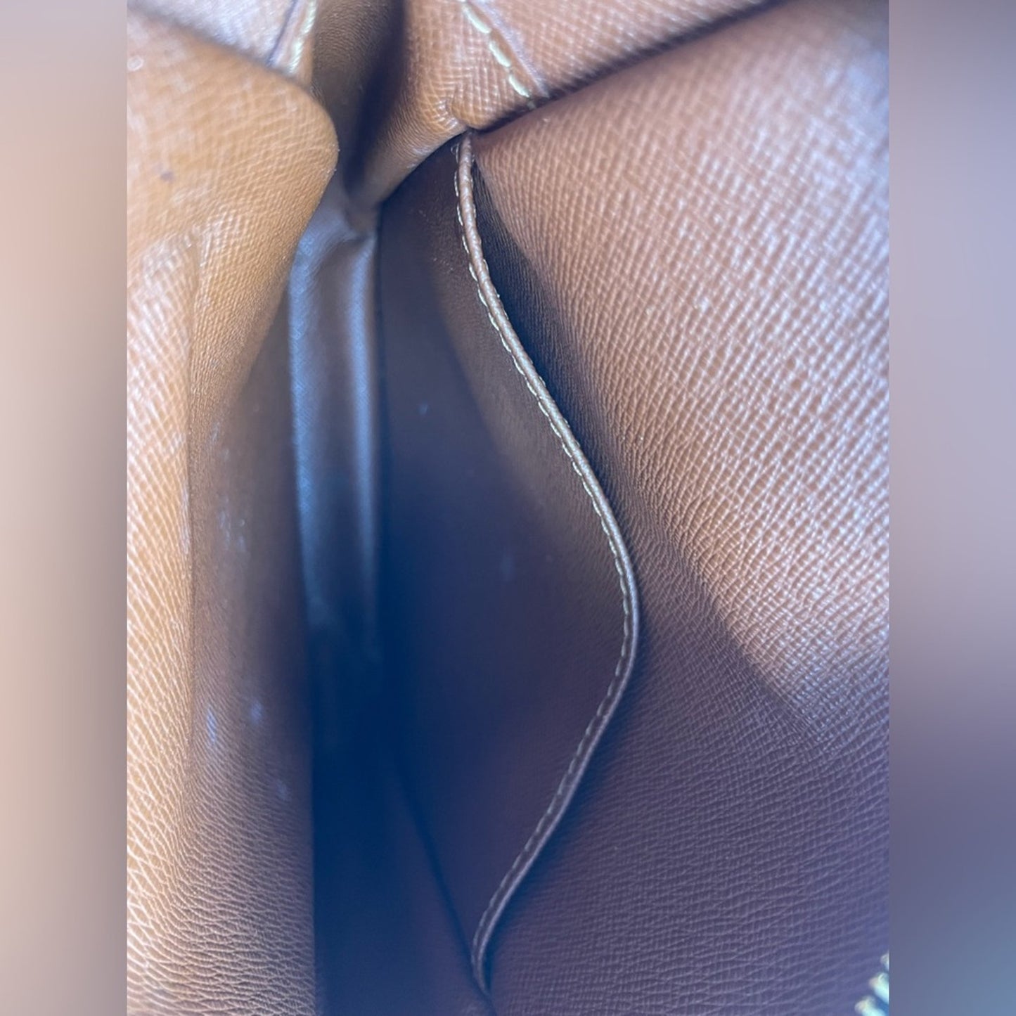 Louis Vuitton Monogram Amazone Crossbody Bag