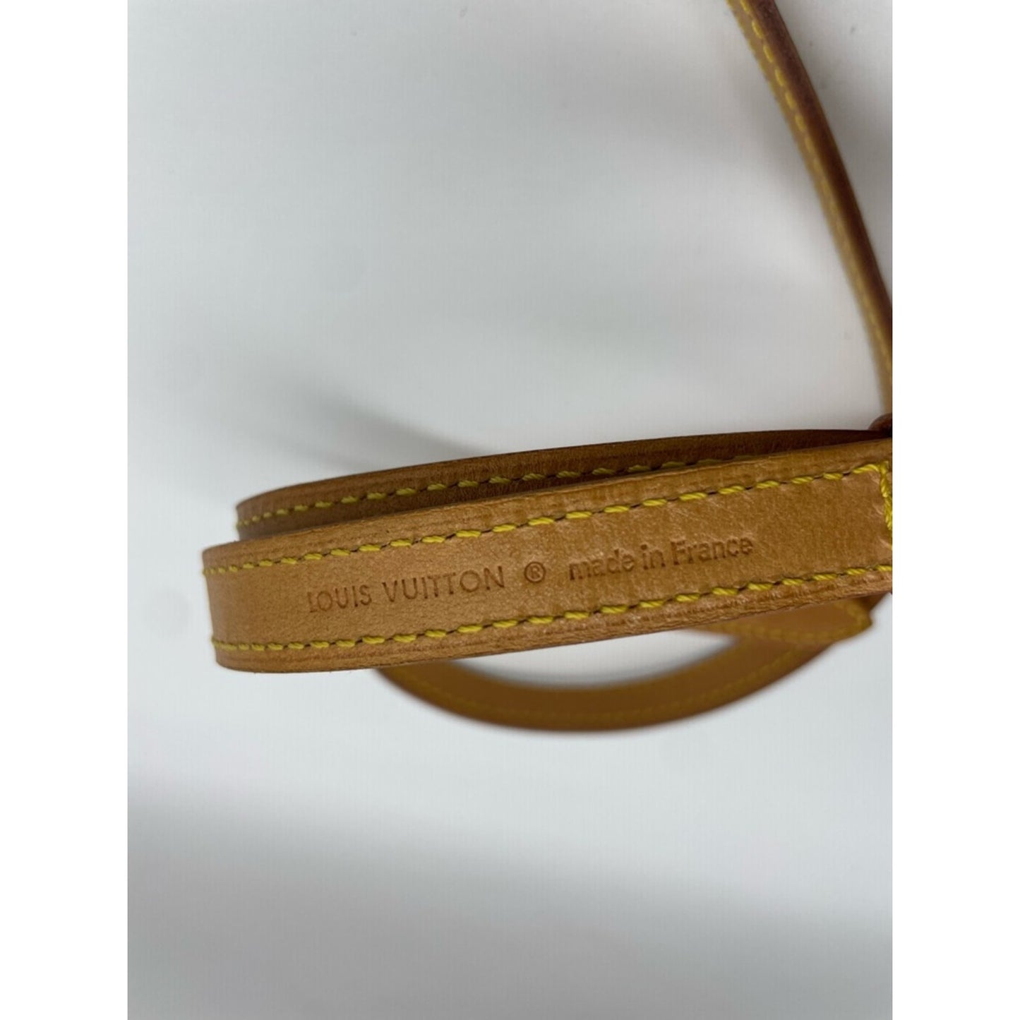 Louis Vuitton Bel Air Bag