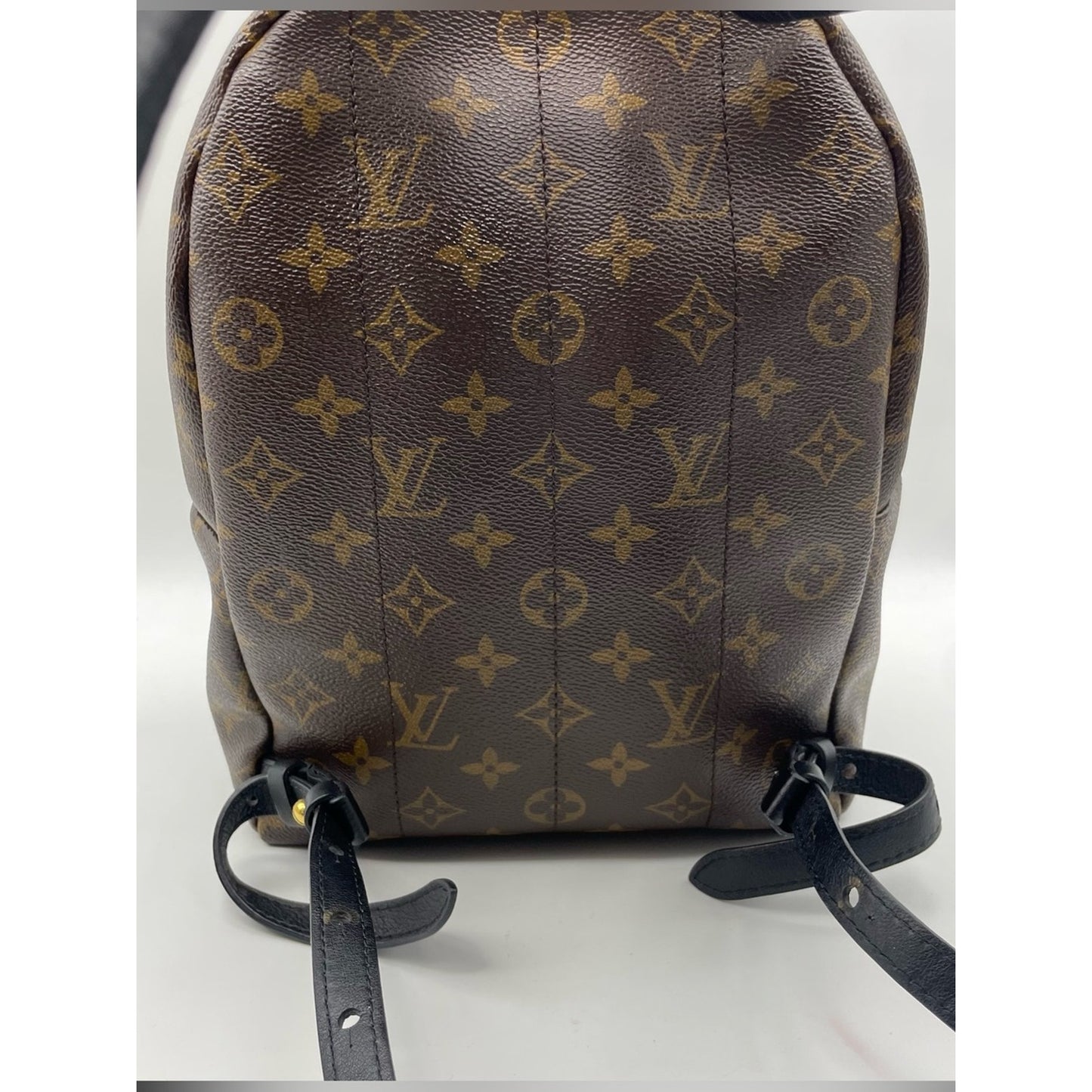 Louis Vuitton Palm Springs Backpack Bag