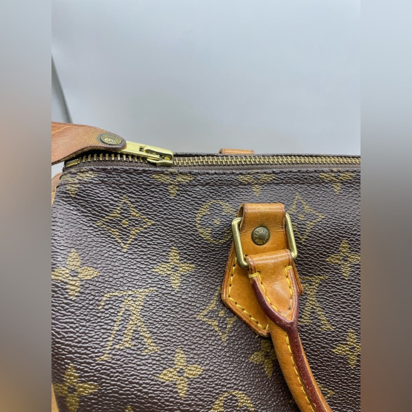 Louis Vuitton Monogram Speedy 30 Bag