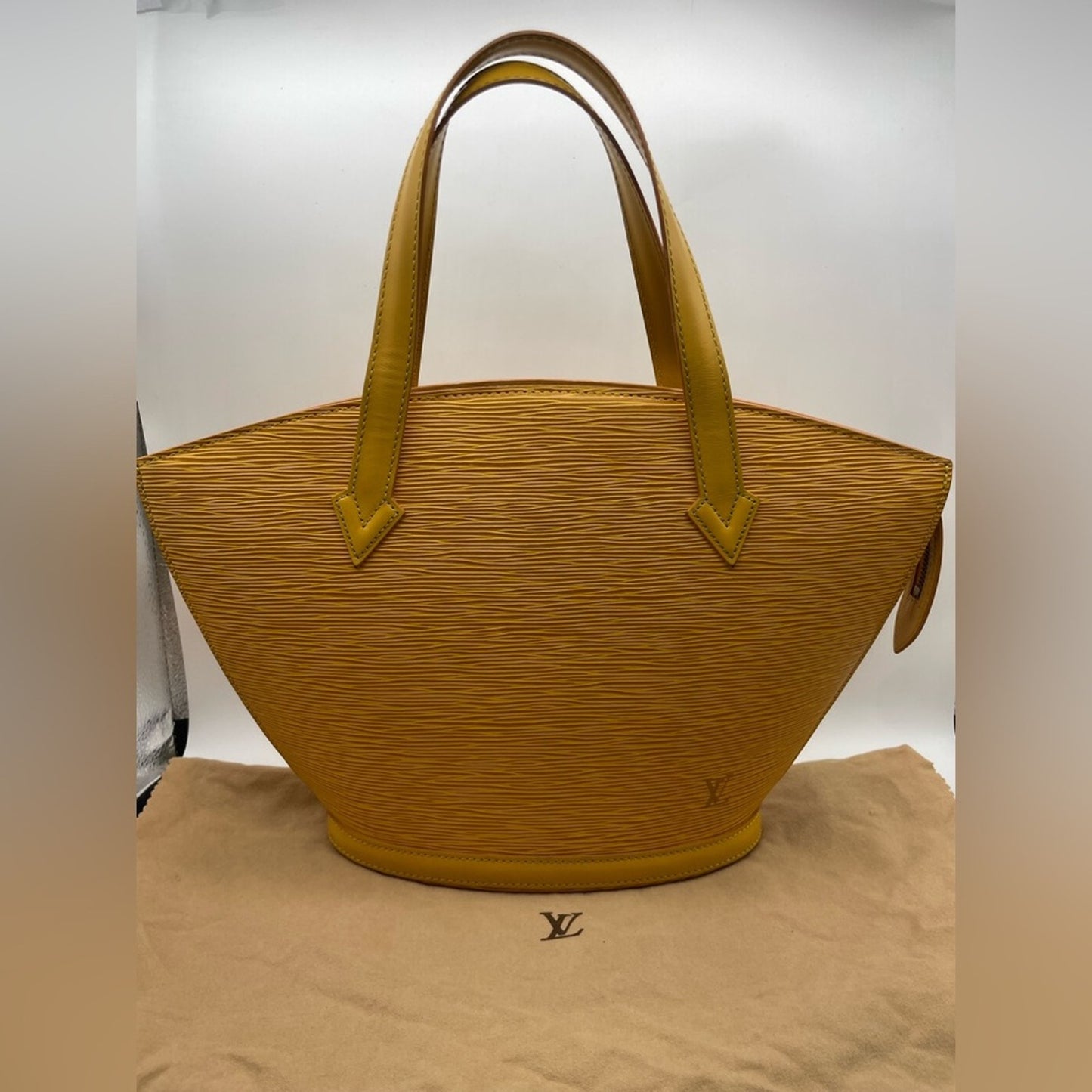 Louis Vuitton Epi Saint Jaques Hand Bag