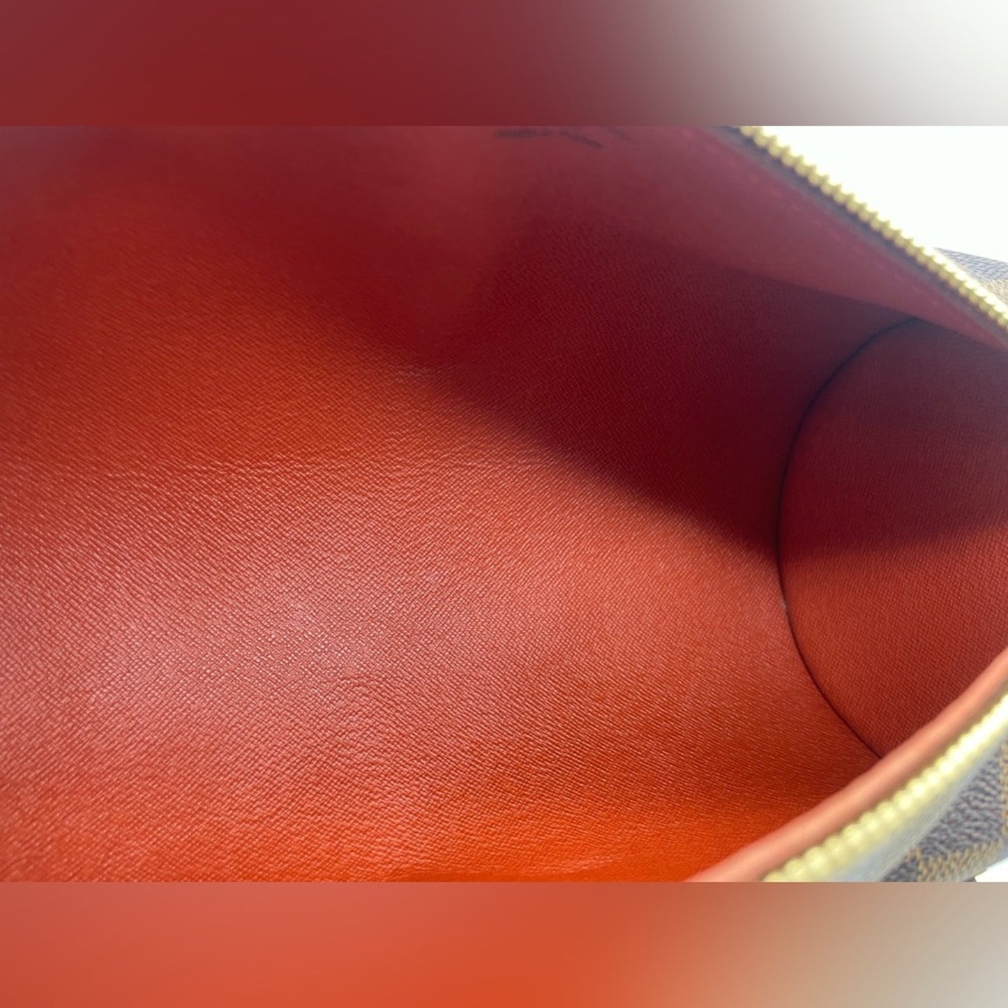 Louis Vuitton Damier Papillon Handbag