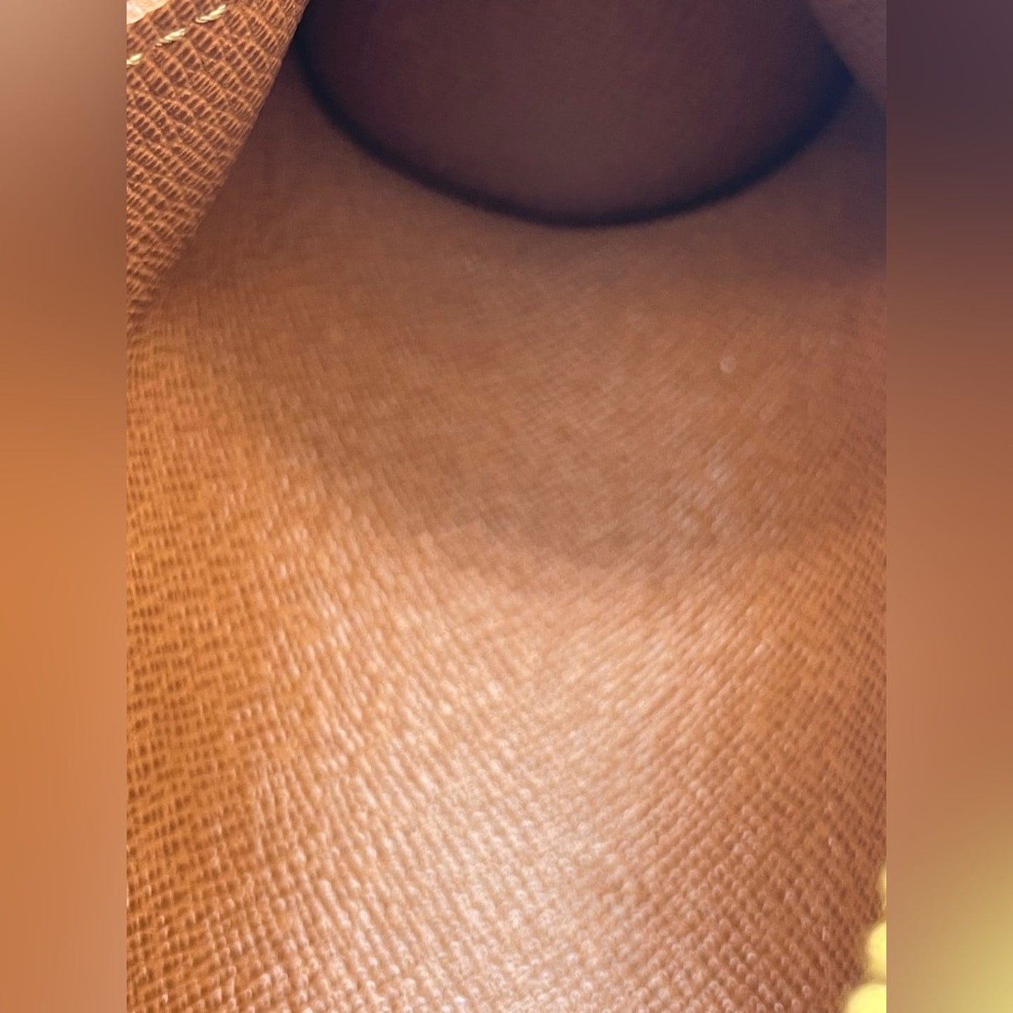 Louis Vuitton Monogram Baby Papillon Bag