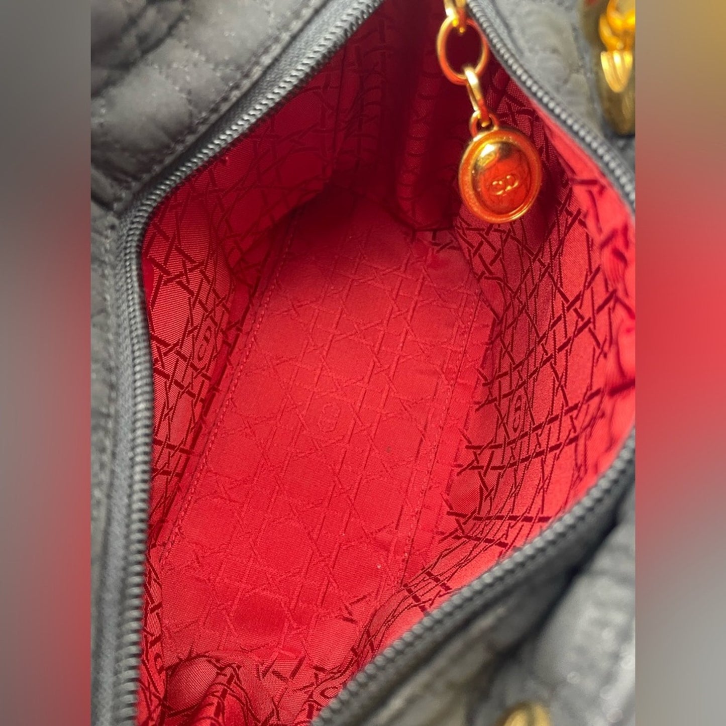 Lady Dior Canage Handbag Bag