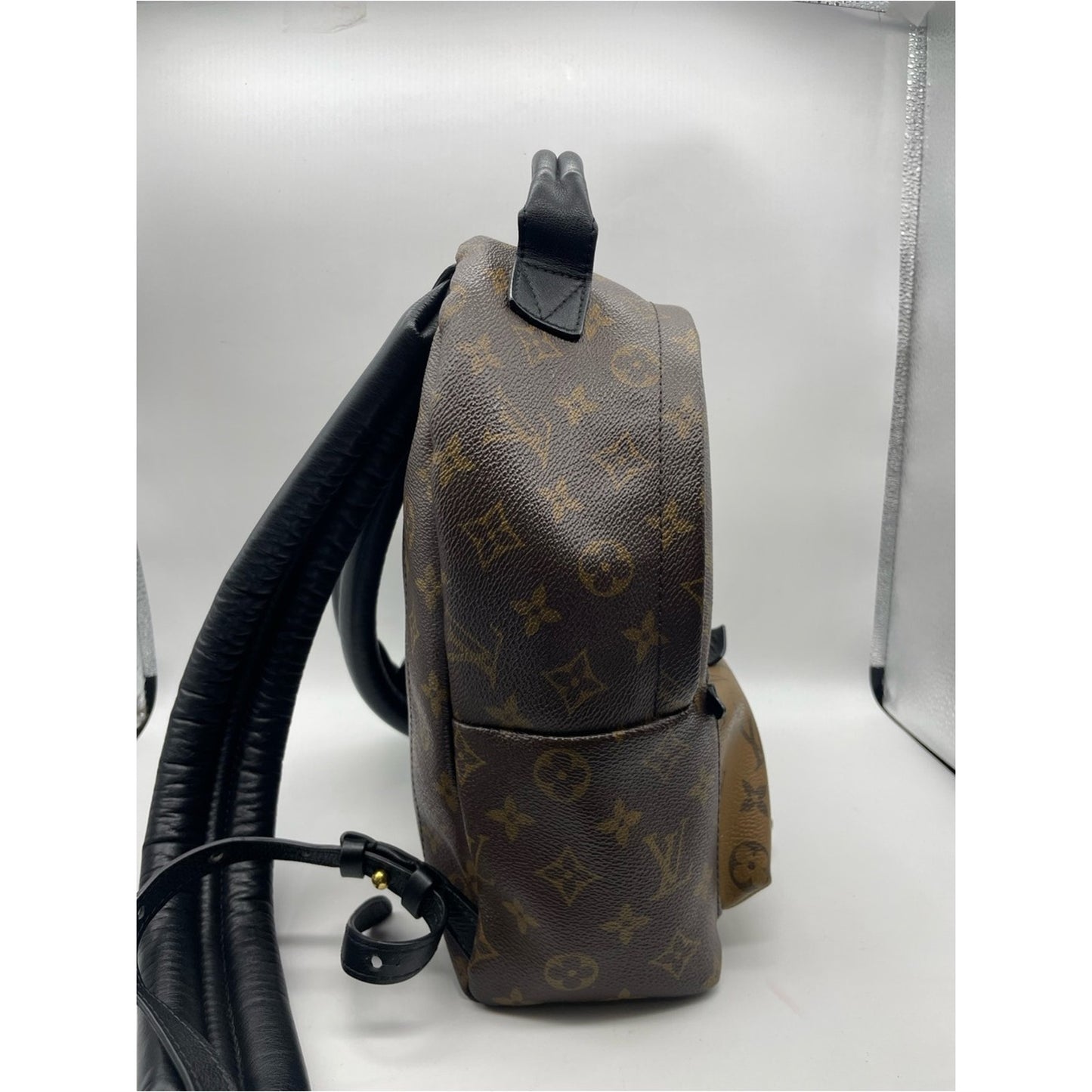 Louis Vuitton Palm Springs Backpack Bag