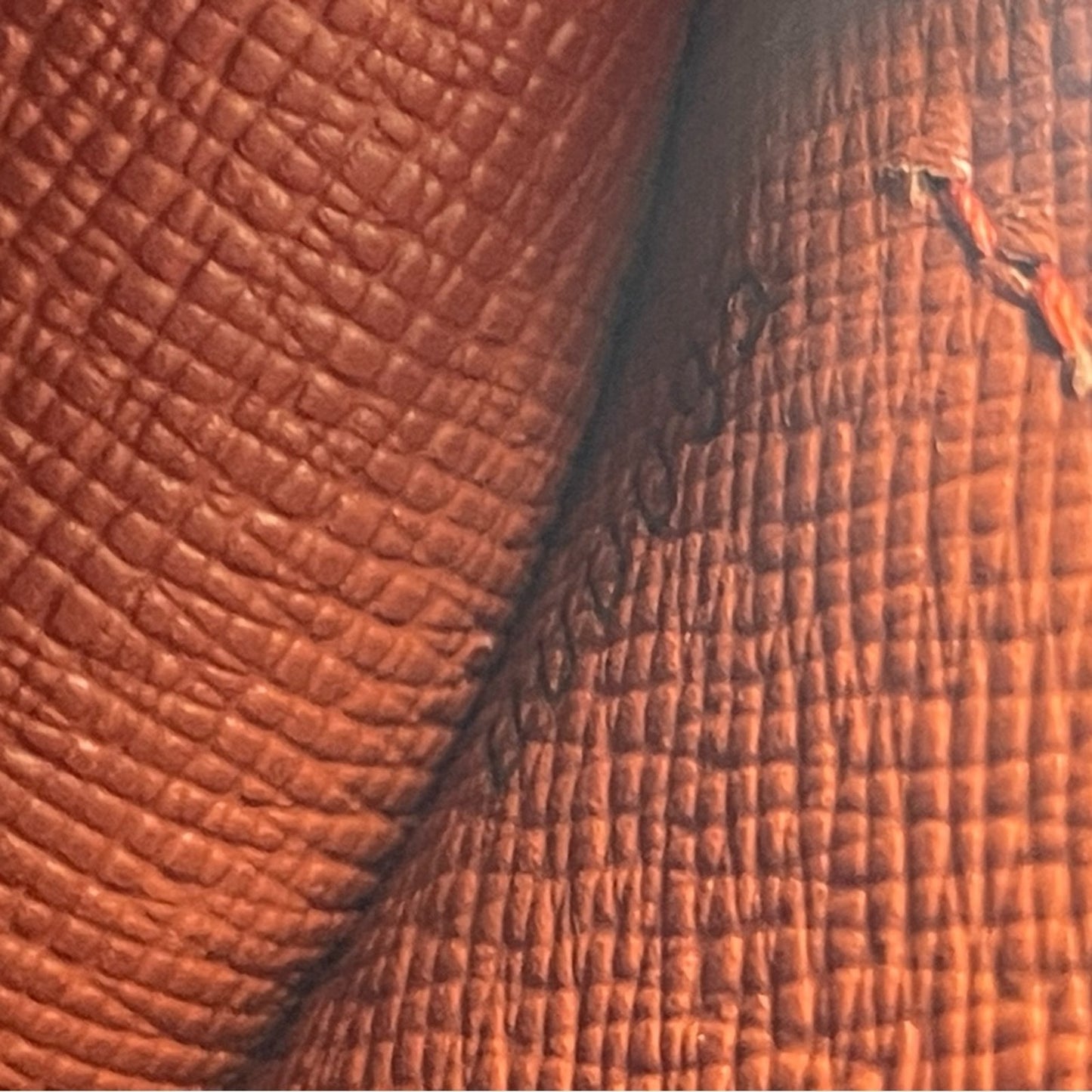 Louis Vuitton Damier Papillon Handbag