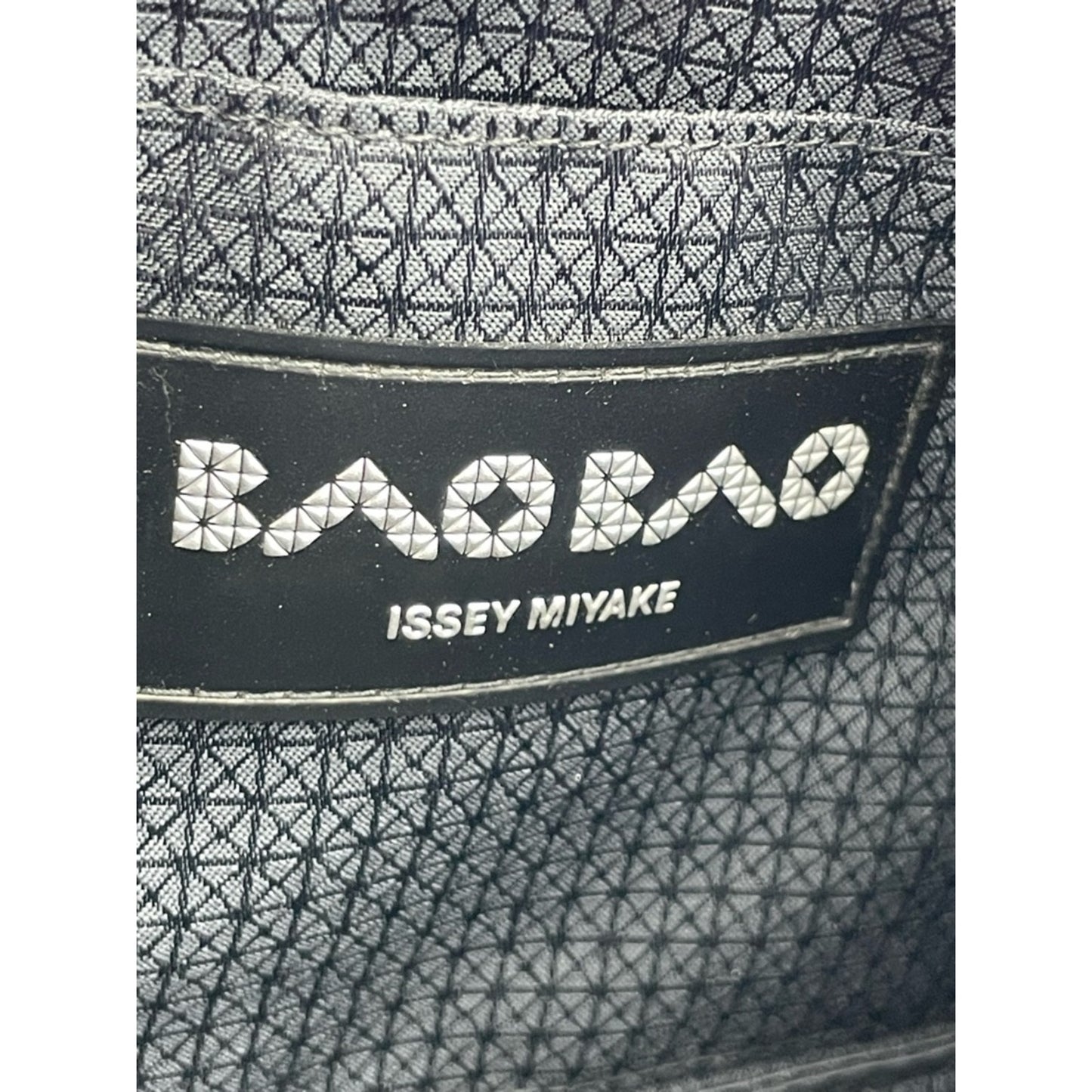 Issey Miyake Bao Bao Crossbody Bag