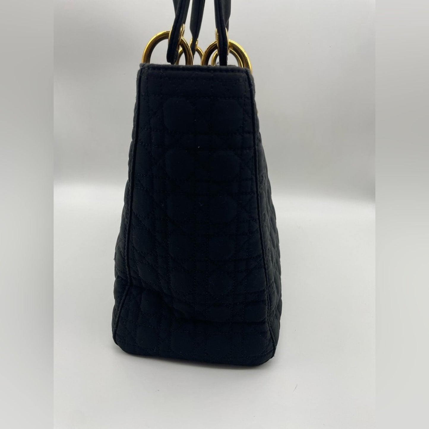 Lady Dior Canage Handbag Bag