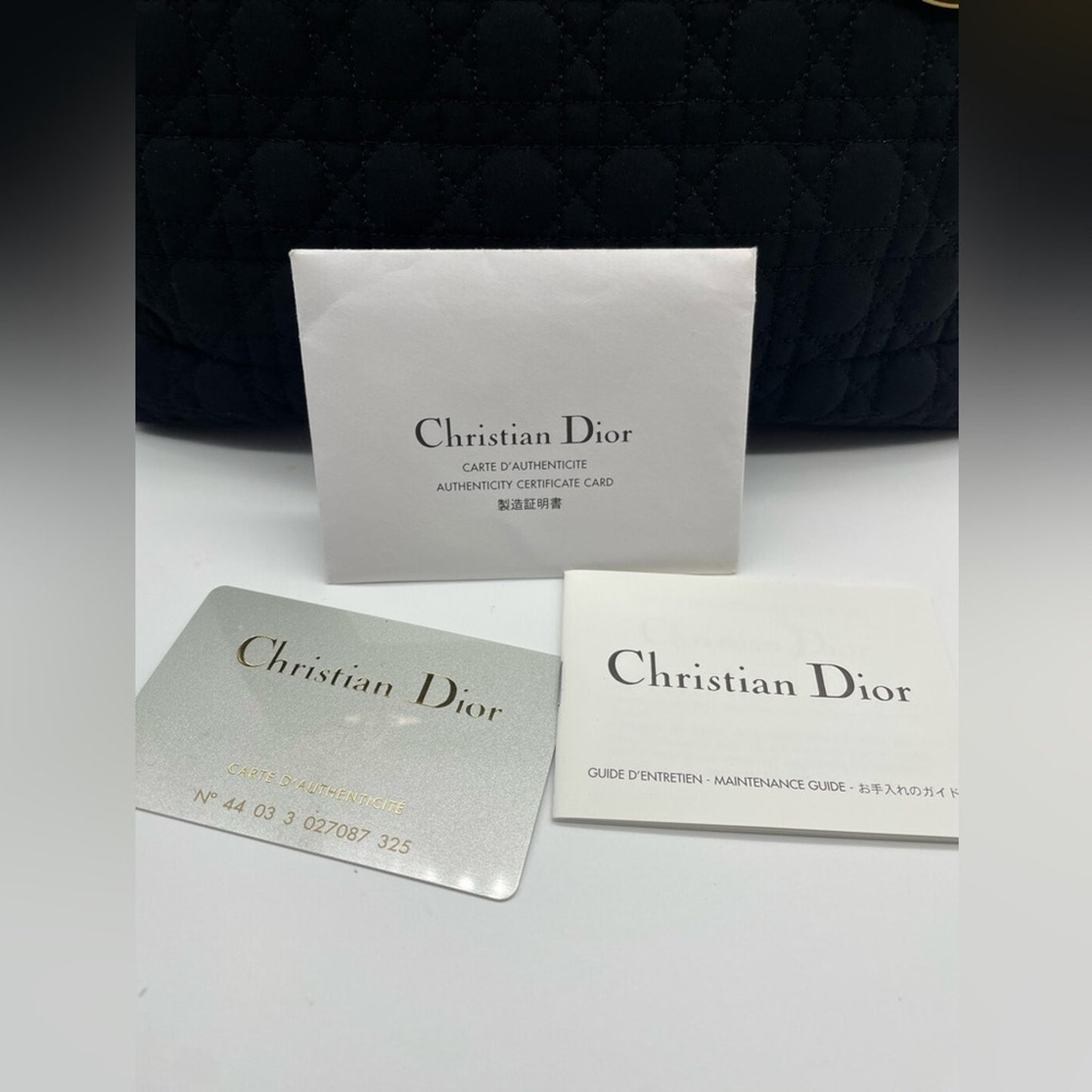 Lady Dior Canage Handbag Bag