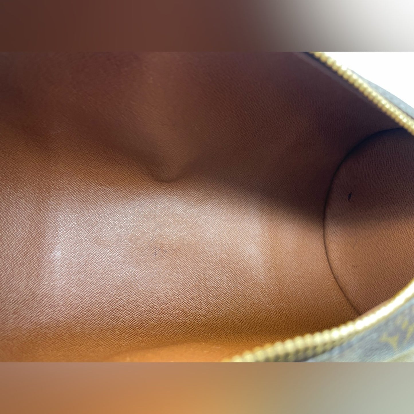 Louis Vuitton Monogram Papillon Handbag