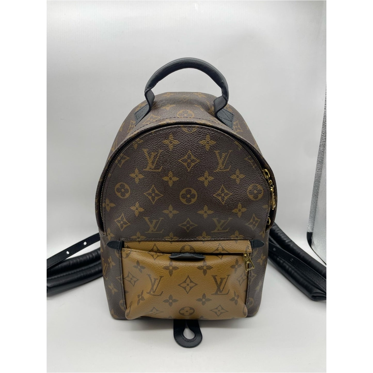Louis Vuitton Palm Springs Backpack Bag