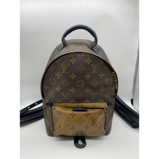 Louis Vuitton Palm Springs Backpack Bag